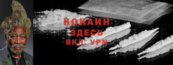 сатива Наволоки