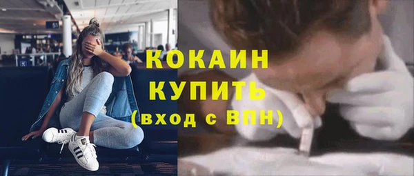 сатива Наволоки