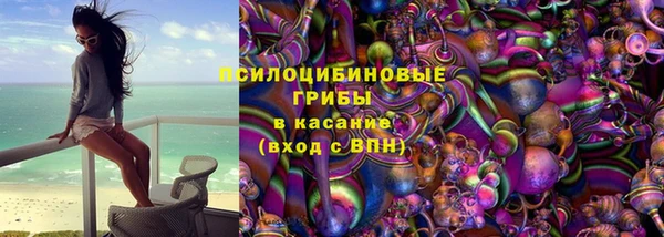 сатива Наволоки