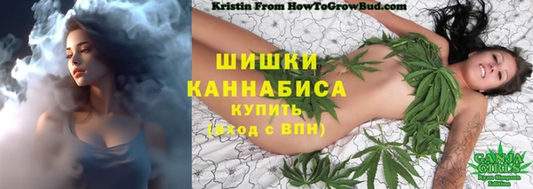 сатива Наволоки